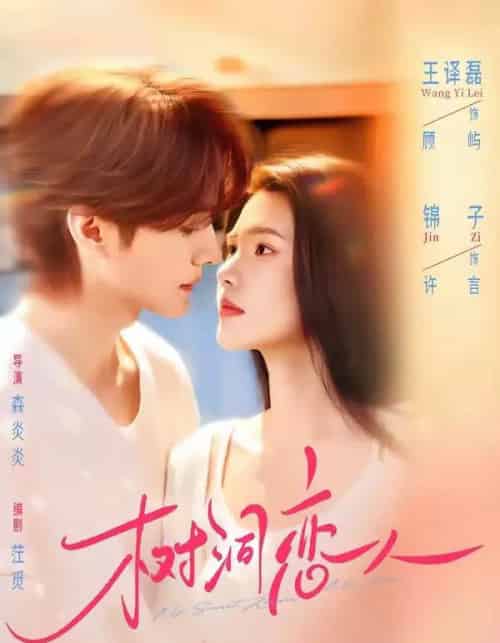 树洞恋人（72集全）王译磊＆锦子-紫橙网创项目网