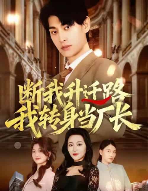 断我升迁路,我转身当厂长(60集全)刘昕岚&王国豪杰&代从-紫橙网创项目网