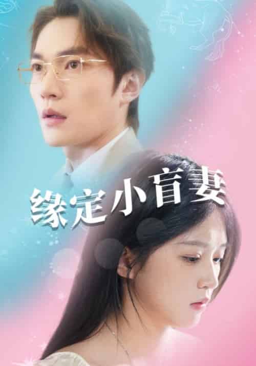 缘定小盲妻（62集全）白景明＆夏春和 - 紫橙阁短剧