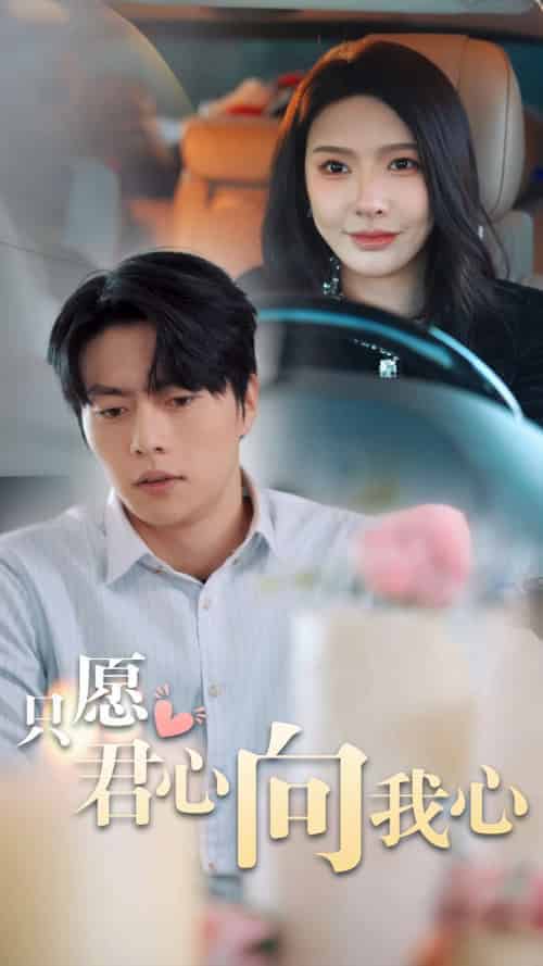 只愿君心向我心（31集全）张磊 - 紫橙阁短剧