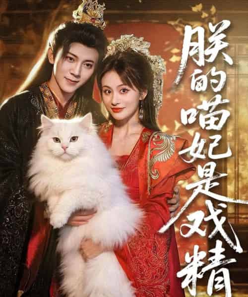 朕的喵妃是戏精（72集）范呈麒＆娄宇瑶-紫橙网创项目网