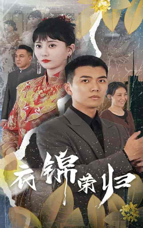 衣锦荣归（81集） - 紫橙阁短剧