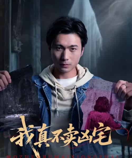 我真不卖凶宅（40集全）王卫＆孙静欣-紫橙网创项目网