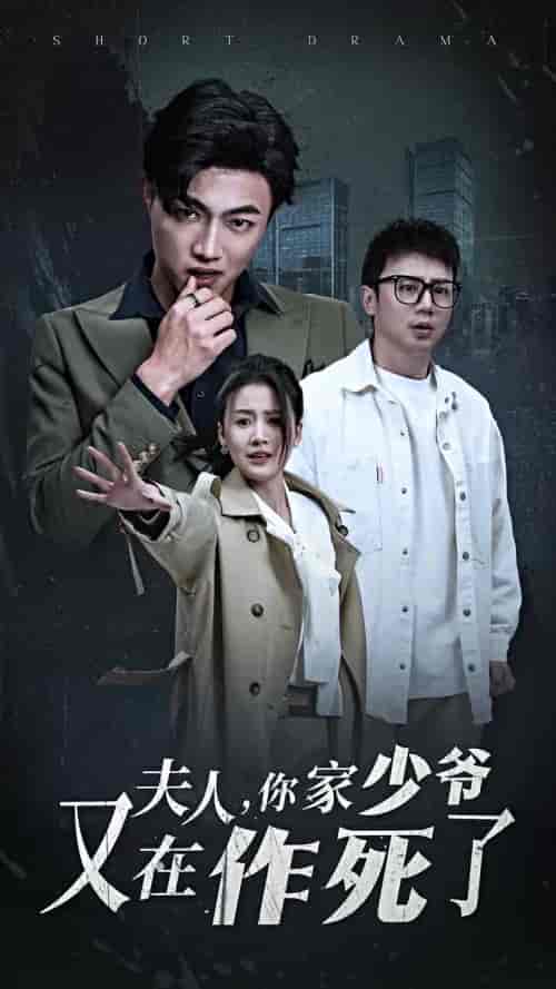 夫人你家少爷又在作死了（30集全） - 紫橙阁短剧