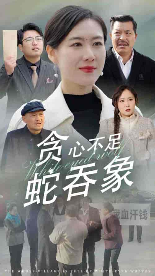 贪心不足蛇吞象（30集全） - 紫橙阁短剧