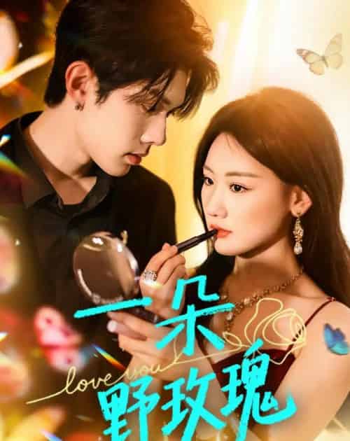 一朵野玫瑰（79集全）何钊远＆邵依蕊-紫橙网创项目网