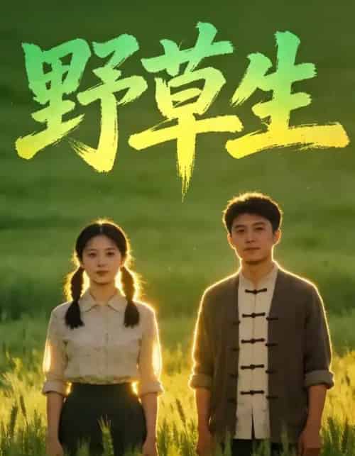 野草生（60集全）AI-紫橙网创项目网