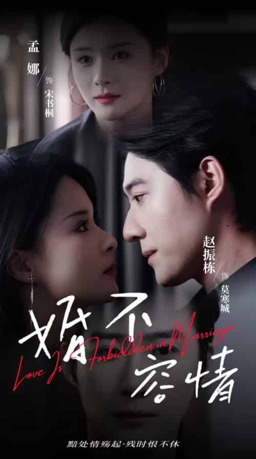 婚不容情（89集全）赵振栋＆孟娜 - 紫橙阁短剧