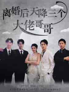 离婚后天降三个大佬哥哥（83集） - 紫橙阁短剧