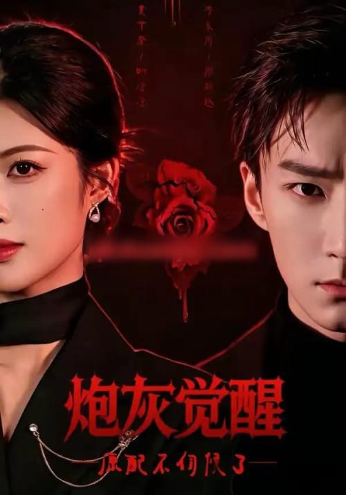 炮灰觉醒,原配不伺候了(60集全)黄宁馨&李乐川-紫橙网创项目网