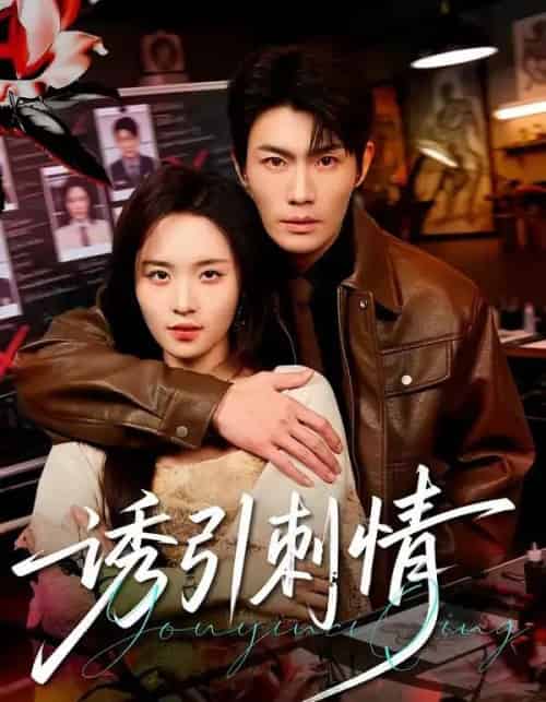 诱引刺情(60集全)张培宝&郑洋-紫橙网创项目网
