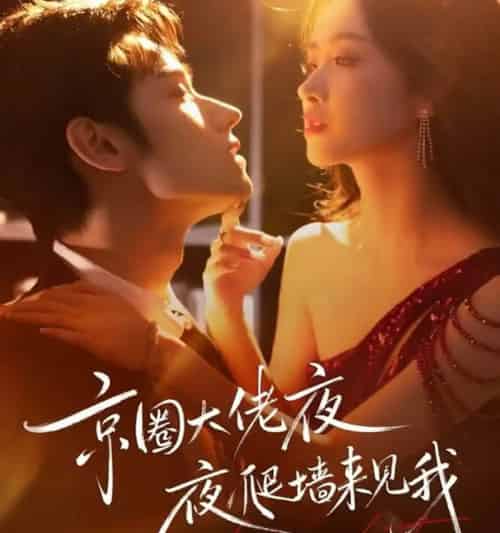 京圈大佬夜夜爬墙来见我＆吻上瘾，顾总他破防了（73集全）赵星卉＆袁凯凯 - 紫橙阁短剧