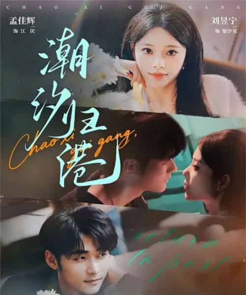 潮汐归港(66集全)孟佳辉&刘昱宁-紫橙网创项目网