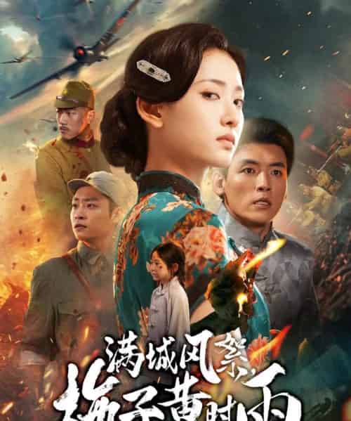 满城风絮梅子黄时雨（58集全）李源＆汪巧-紫橙网创项目网