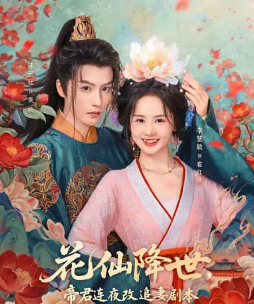 花仙降世，帝君连夜改追妻剧本（80集全）陈云廷＆李慧敏-紫橙网创项目网
