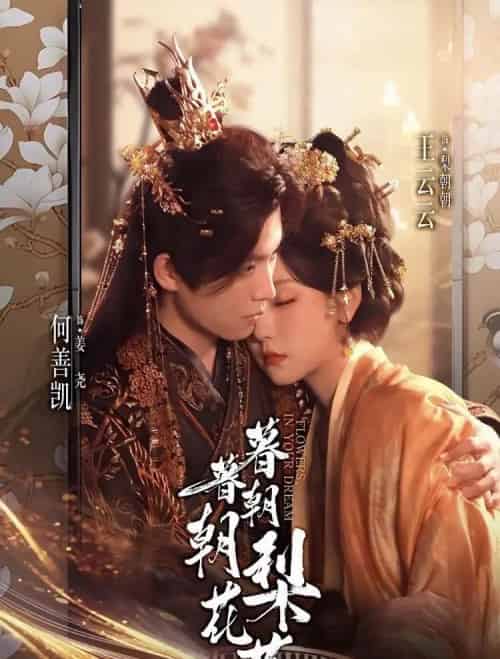 暮暮朝朝梨花落（99集全）何善凯＆王云云（彩彩云）-紫橙网创项目网