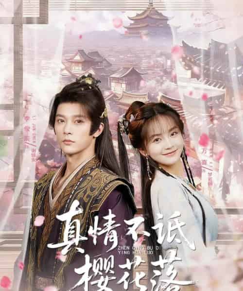 真情不诋樱花落（58集）李俊辰＆万喜（徐波滴） - 紫橙阁短剧