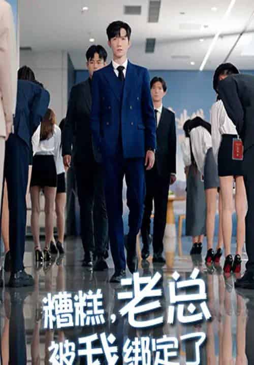 糟糕老总被我绑定了 糟糕老总被我绑定了