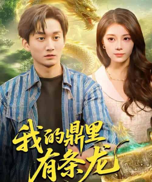 我的鼎里有条龙（83集全）黄小黄＆李默-紫橙网创项目网