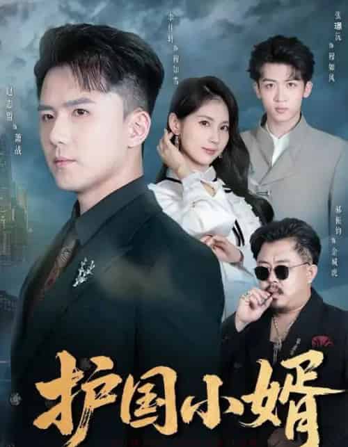 护国小婿（60集全）李佳轩＆赵志盟 - 紫橙阁短剧