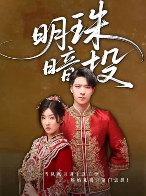 明珠暗投（60集全）牛静婕 - 紫橙阁短剧