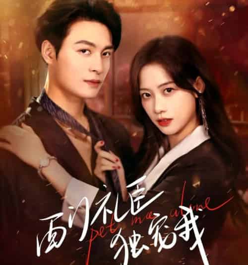 西门礼臣独宠我（80集全）刘叁肆＆康渝茜-紫橙网创项目网