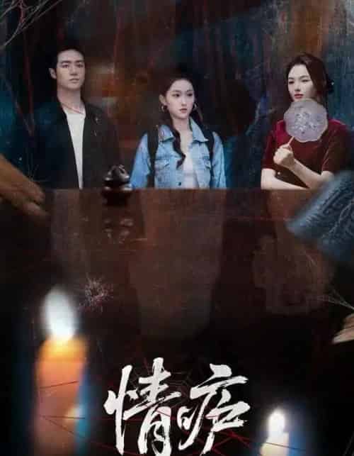 情庐（30集全）孙扬＆贾子墨-紫橙网创项目网