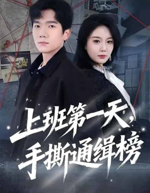 上班第一天，手撕通缉榜（79集全）文艺贞＆彭瑞风-紫橙网创项目网