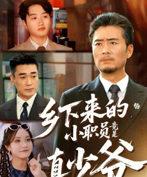 乡下来的小职员竟是真少爷（85集全）丁磊＆高晟-紫橙网创项目网