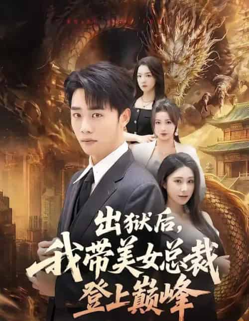 出狱后,我带美女总裁登上巅峰(80集全)张婉悦&程勇炜-紫橙网创项目网