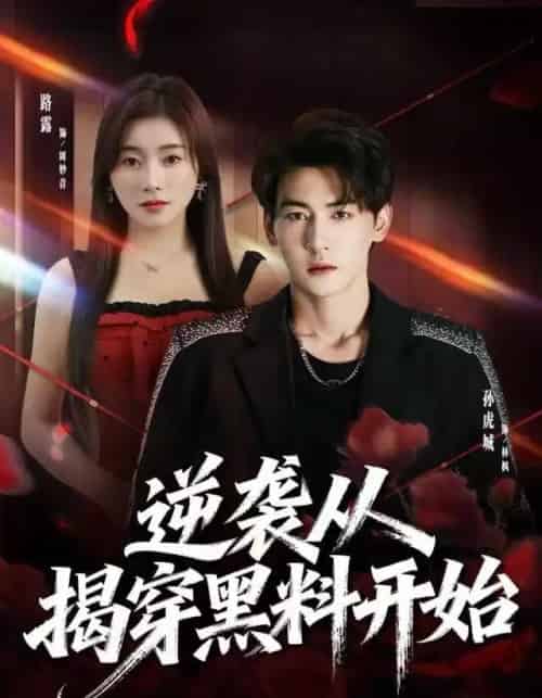 逆袭从揭穿黑料开始（80集全）孙虎城＆路露-紫橙网创项目网