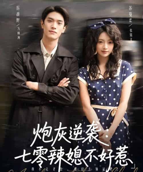 炮灰逆袭七零辣媳不好惹（78集全）万林洲＆张铭文-紫橙网创项目网