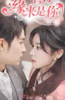 新版：缘来是你（77集） - 紫橙阁短剧