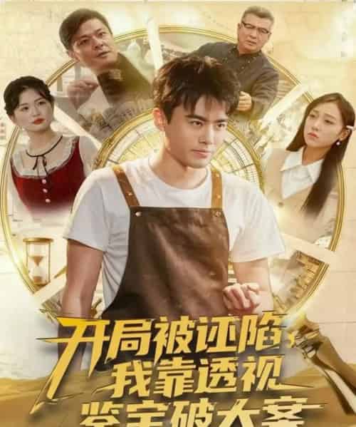 开局被诬陷,我靠透视鉴宝破大案(82集全)王蕴成&李灼一-紫橙网创项目网