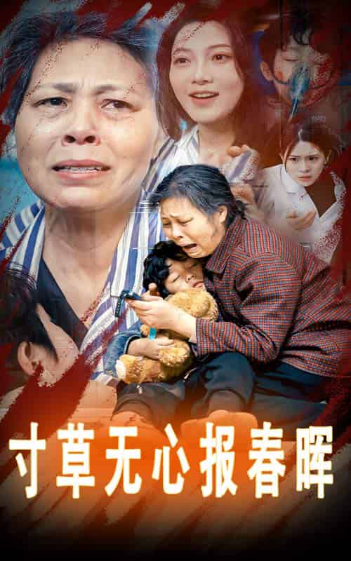寸草无心报春晖＆孝子慈孙（31集全） - 紫橙阁短剧