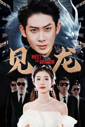 见龙（78集）-紫橙网创项目网