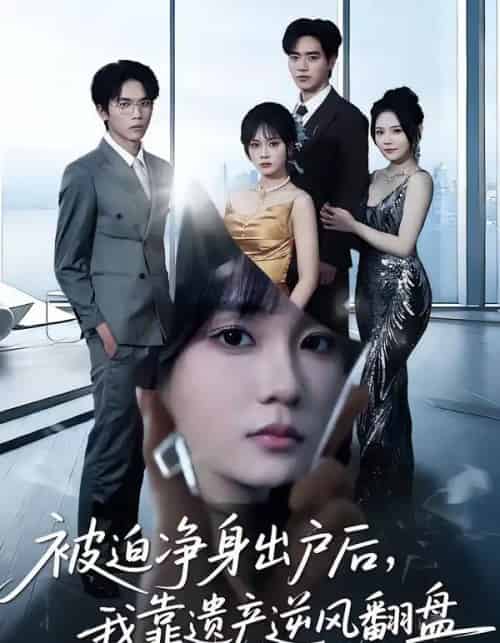 被迫净身出户后，我靠遗产逆风翻盘（40集全）李恩铭＆彭慧玲-紫橙网创项目网