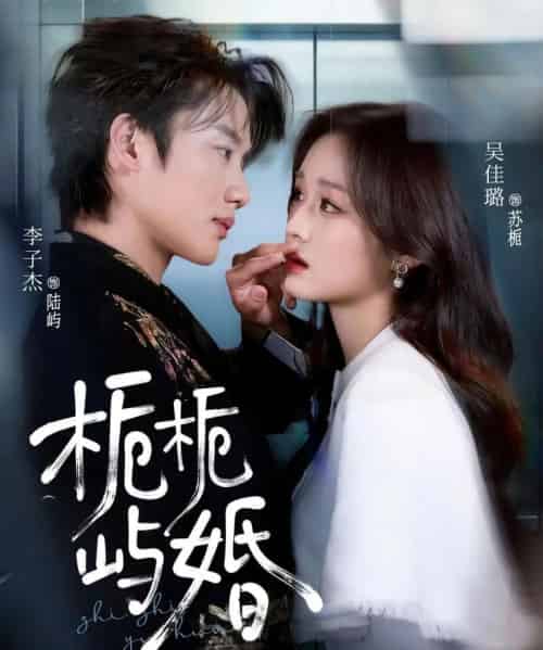 栀栀屿婚（77集全）李子杰＆吴佳璐-紫橙网创项目网