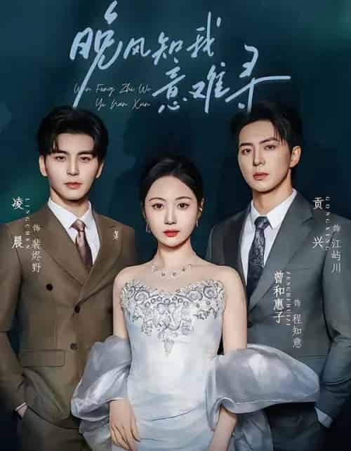 晚风知我意难寻（60集全）凌晨＆曾和惠子 - 紫橙阁短剧