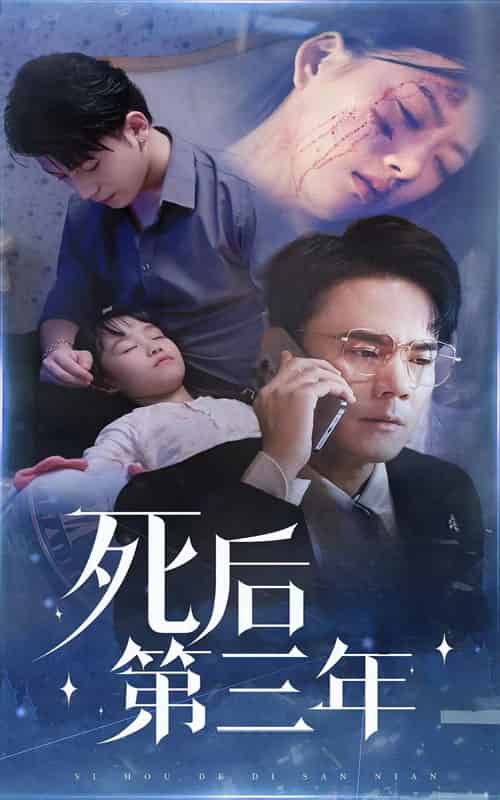 死后第三年（30集） - 紫橙阁短剧