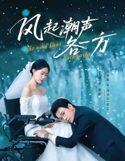 风起潮声各一方（84集全）祁圣翰＆王艺舒-紫橙网创项目网