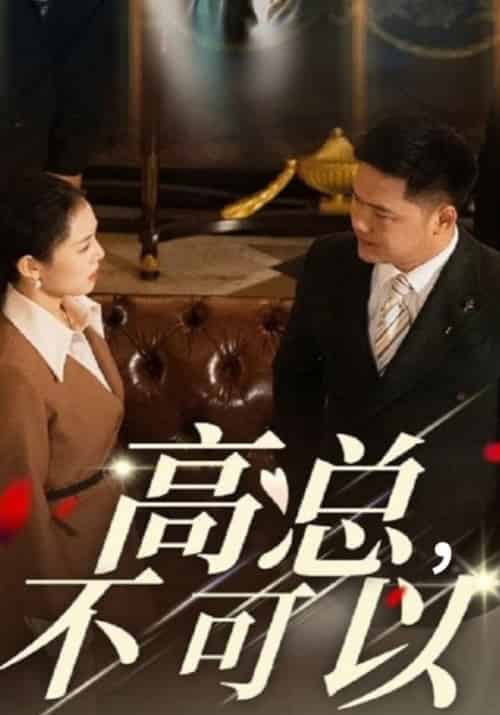 高总，不可以（45集全）高天武＆白知微 - 紫橙阁短剧