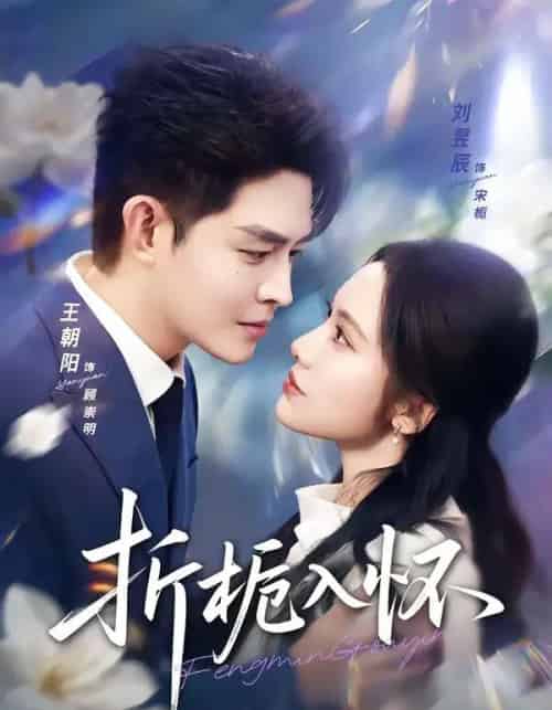 折栀入怀（82集全）王朝阳＆刘昱辰-紫橙网创项目网