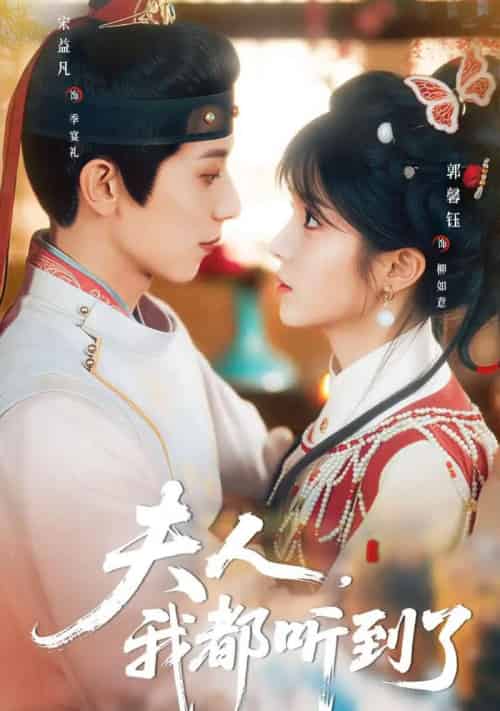 夫人，我都听到了＆夫人每天都想被休（100集全）宋益凡＆郭馨钰-紫橙网创项目网