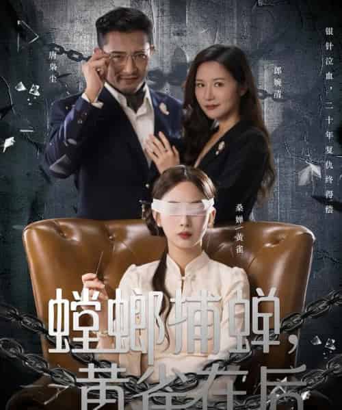 螳螂捕蝉黄雀在后（65集全）彭千玲＆郑天阳-紫橙网创项目网