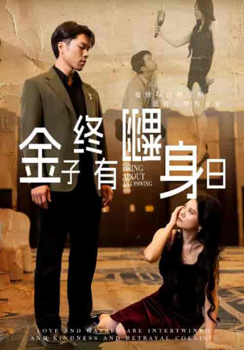 金子终有翻身日（69集全）贺东＆师念 - 紫橙阁短剧