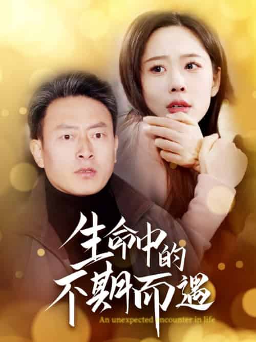 生命中的不期而遇（35集全） - 紫橙阁短剧