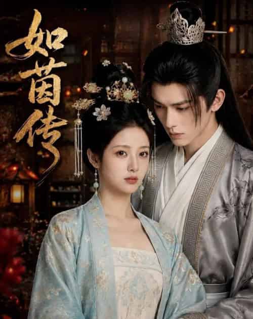 如茵传(62集全)AI-紫橙网创项目网