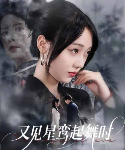 又见星鸾起舞时 又见星鸾起舞时