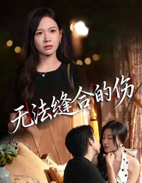 无法缝合的伤（45集全）王琳惠＆天天-紫橙网创项目网